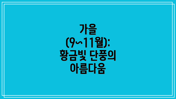 가을 (9~11월): 황금빛 단풍의 아름다움