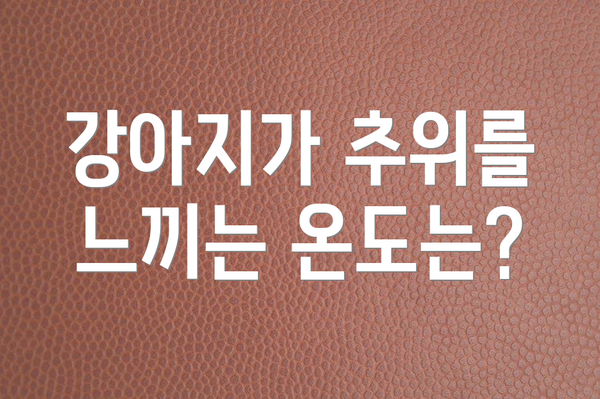 강아지가 추위를 느끼는 온도는?
