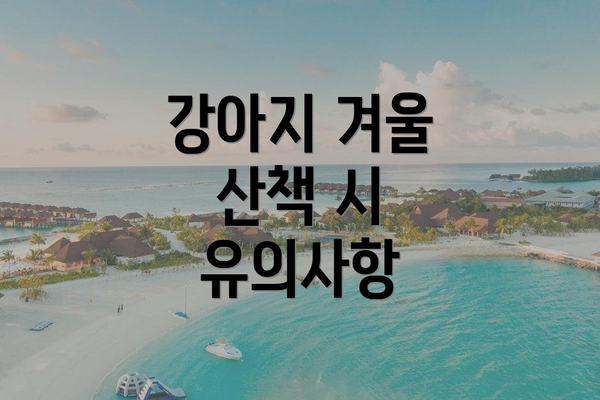 강아지 겨울 산책 시 유의사항
