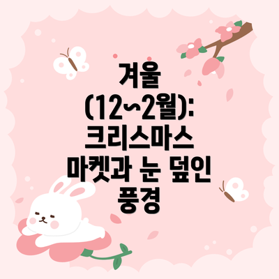 겨울 (12~2월): 크리스마스 마켓과 눈 덮인 풍경