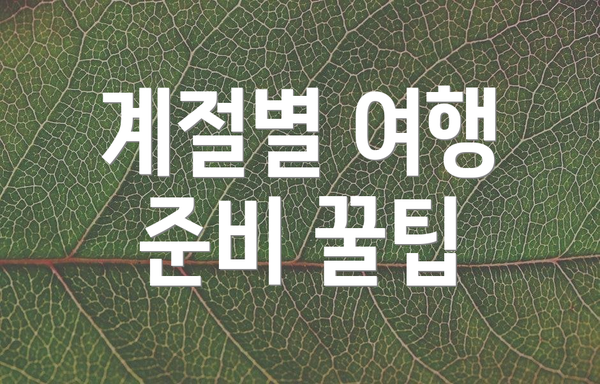 계절별 여행 준비 꿀팁