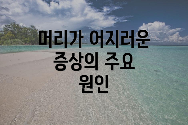 머리가 어지러운 증상의 주요 원인