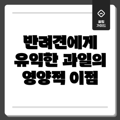 반려견에게 유익한 과일의 영양적 이점