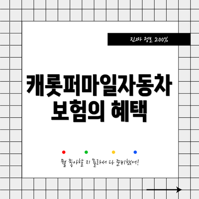 캐롯퍼마일자동차보험의 혜택