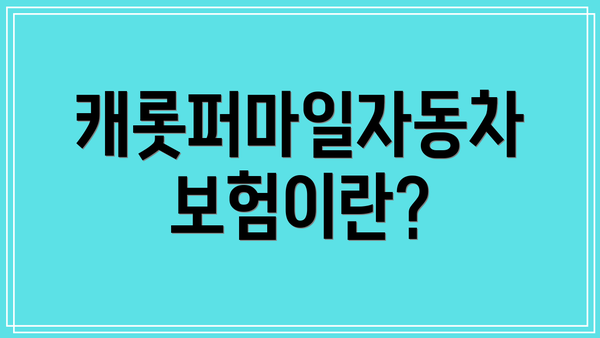캐롯퍼마일자동차보험이란?