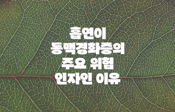 흡연이 동맥경화증의 주요 위험 인자인 이유