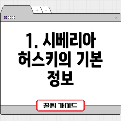 1. 시베리아 허스키의 기본 정보