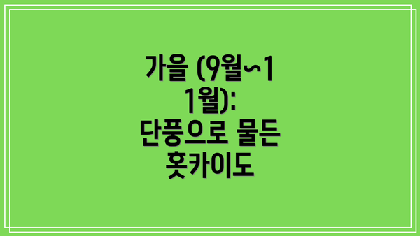 가을 (9월~11월): 단풍으로 물든 홋카이도