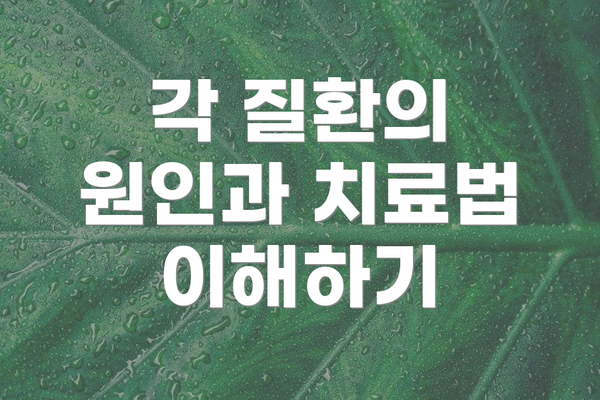 각 질환의 원인과 치료법 이해하기