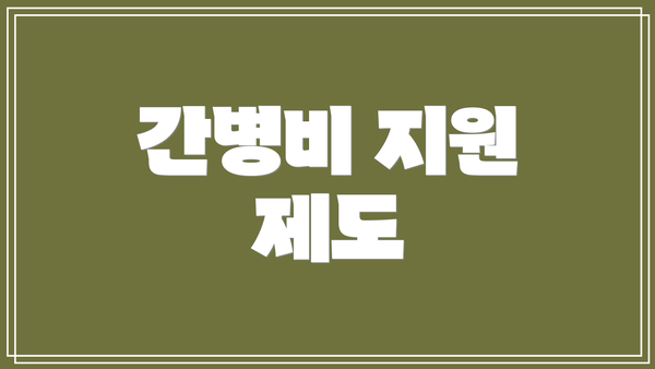 간병비 지원 제도