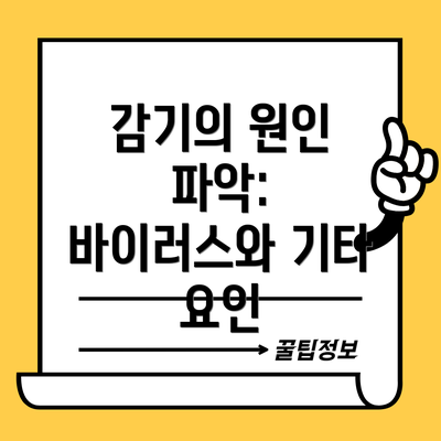 감기의 원인 파악: 바이러스와 기타 요인