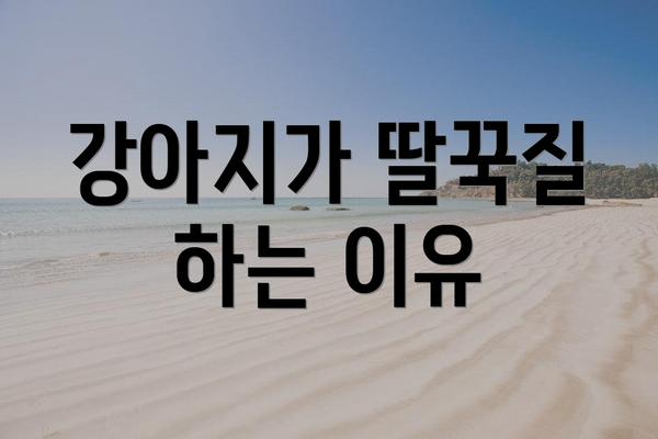 강아지가 딸꾹질 하는 이유