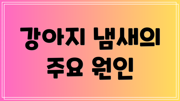 강아지 냄새의 주요 원인