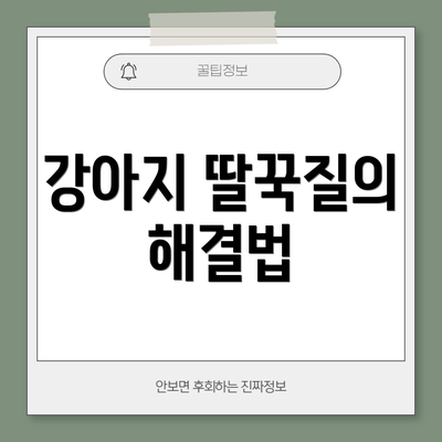 강아지 딸꾹질의 해결법