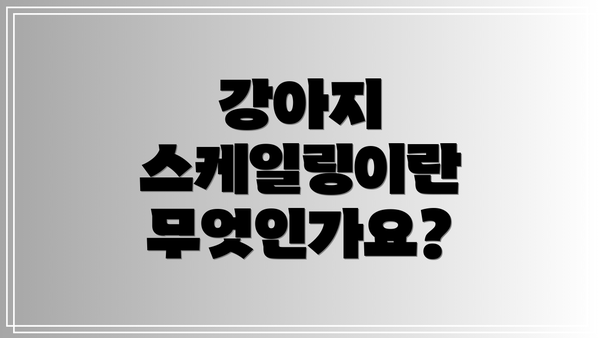 강아지 스케일링이란 무엇인가요?