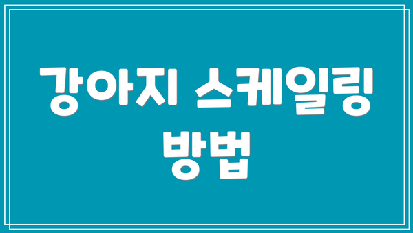 강아지 스케일링 방법
