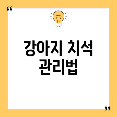 강아지 치석 관리법