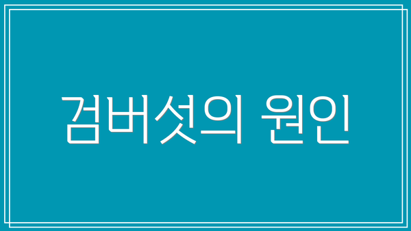 검버섯의 원인
