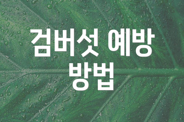 검버섯 예방 방법
