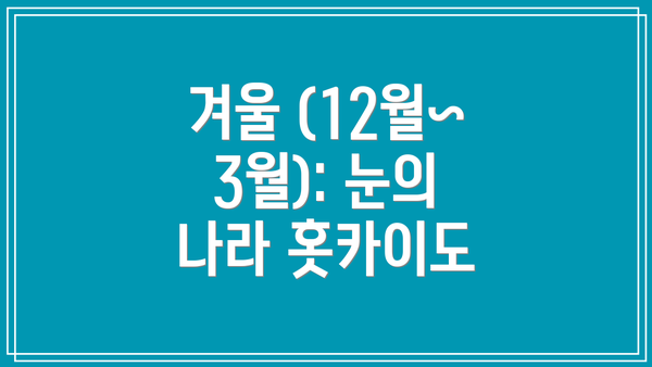 겨울 (12월~3월): 눈의 나라 홋카이도