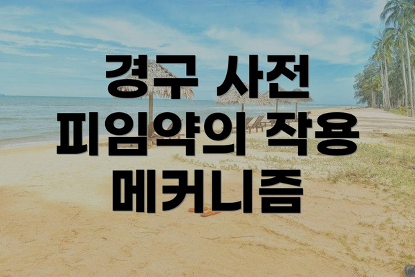 경구 사전 피임약의 작용 메커니즘