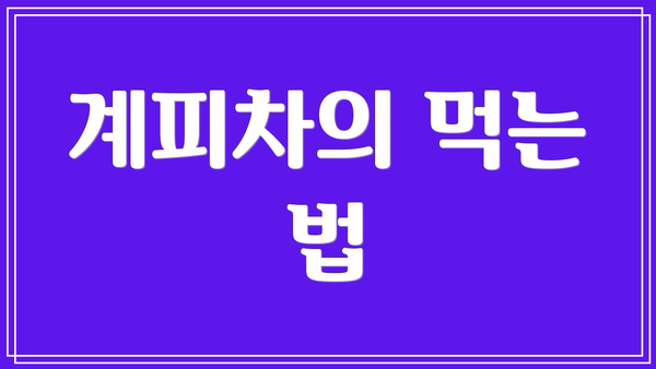 계피차의 먹는 법