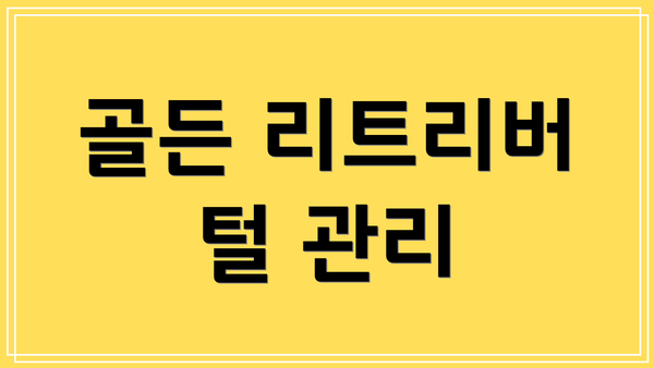 골든 리트리버 털 관리