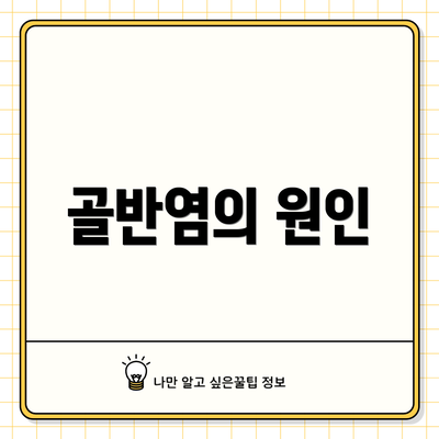 골반염의 원인