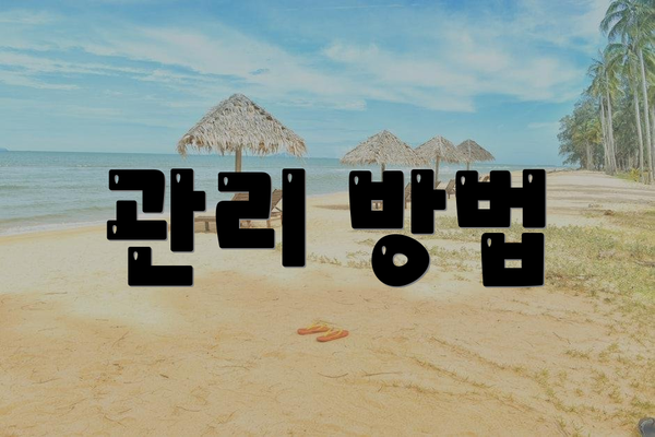 관리 방법