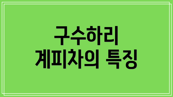 구수하리 계피차의 특징