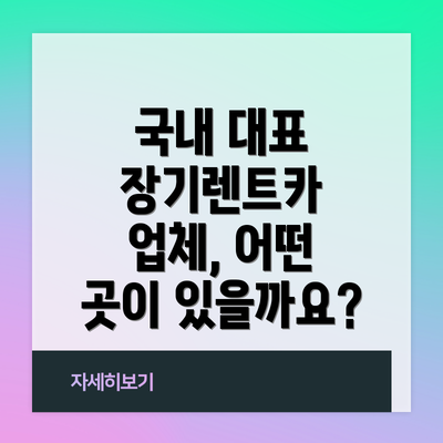국내 대표 장기렌트카 업체, 어떤 곳이 있을까요?