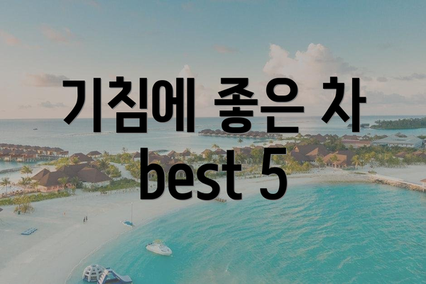 기침에 좋은 차 best 5