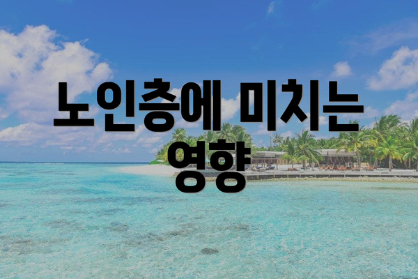 노인층에 미치는 영향