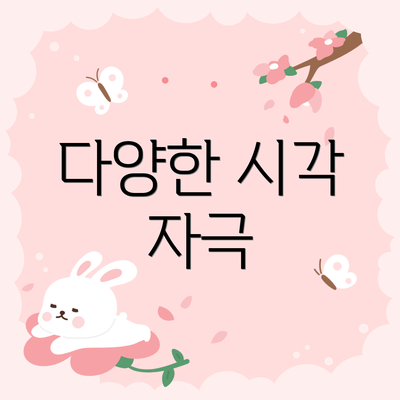 다양한 시각 자극