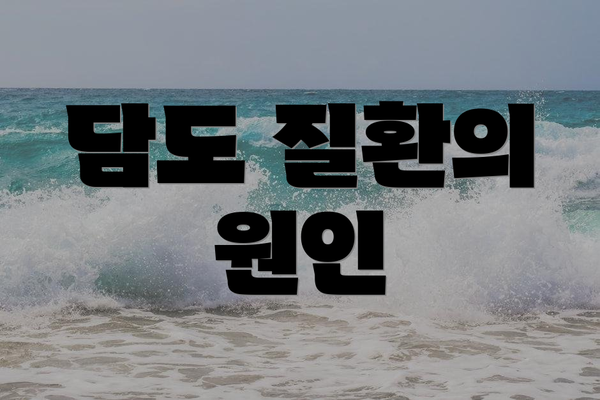 담도 질환의 원인