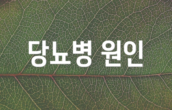 당뇨병 원인