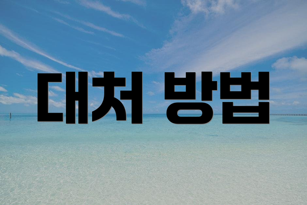 대처 방법