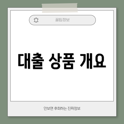 대출 상품 개요