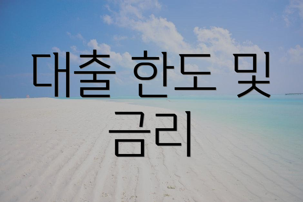대출 한도 및 금리