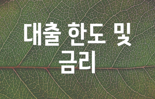 대출 한도 및 금리