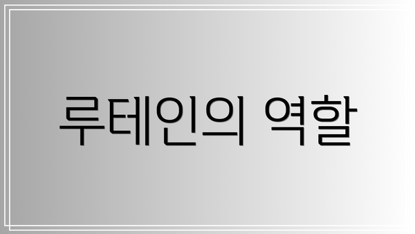 루테인의 역할