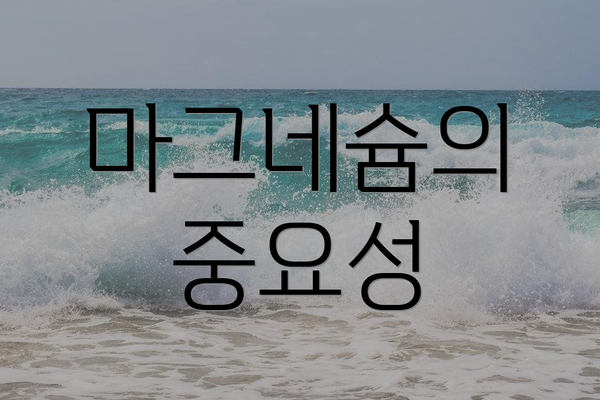 마그네슘의 중요성