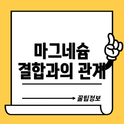 마그네슘 결합과의 관계