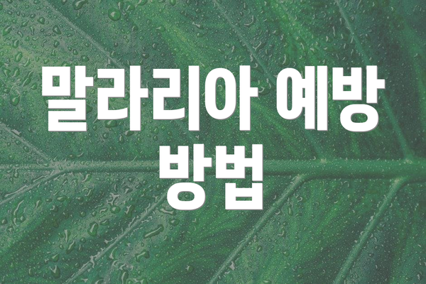 말라리아 예방 방법
