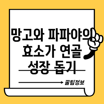 망고와 파파야의 효소가 연골 성장 돕기