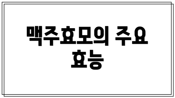 맥주효모의 주요 효능