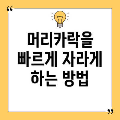 머리카락을 빠르게 자라게 하는 방법