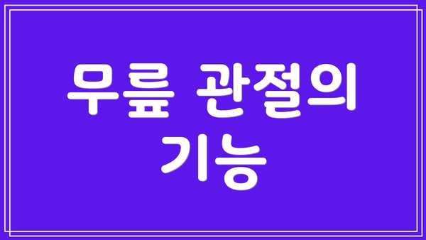 무릎 관절의 기능