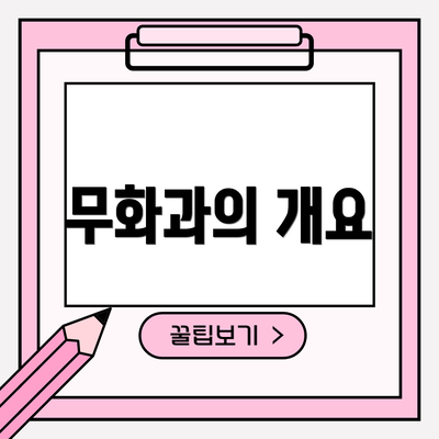 무화과의 개요