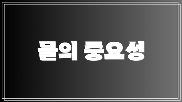 물의 중요성